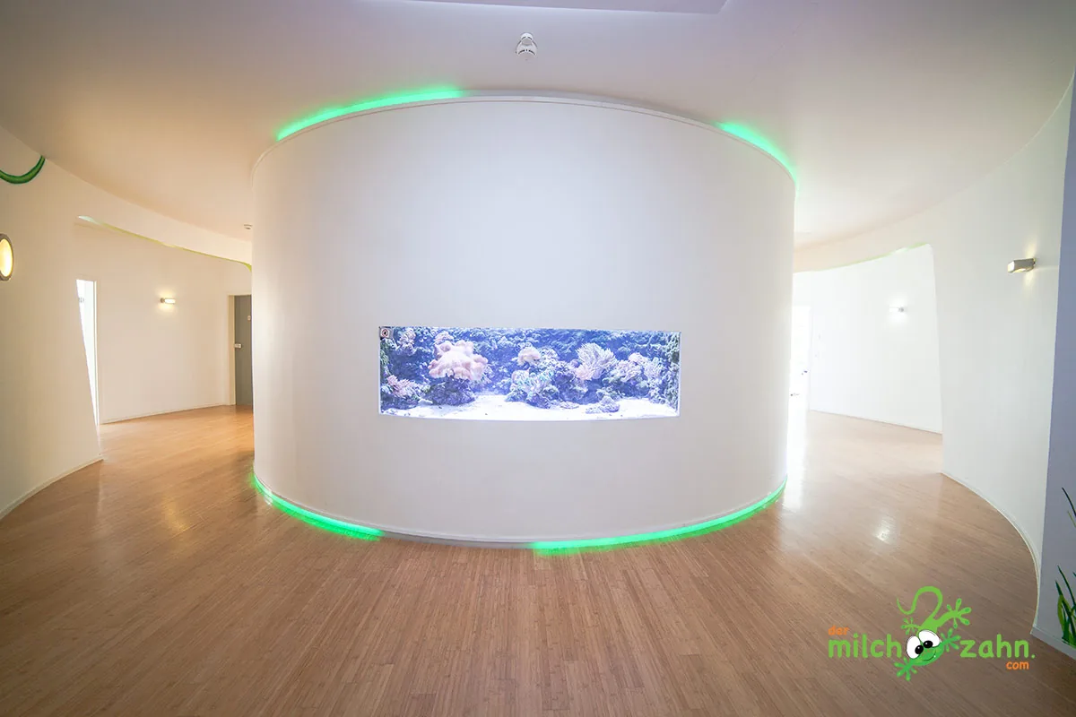Wandaquarium mit grüner Lichtleiste in einer weißen Rundsäule